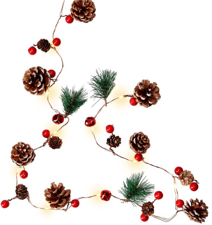 GOOBAY LED λαμπάκια Pine Cones & Red Berries 60274, 3000K, 20 LED, 2.2m